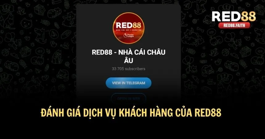 Tổng quát đánh giá dịch vụ khách hàng của RED88