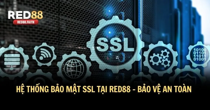 Bảo vệ an toàn mọi thông tin với SSL